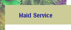 Maid Service